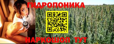 a pvp Рыбинск