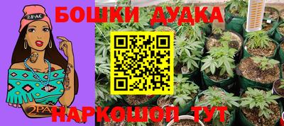 гидра Рузаевка
