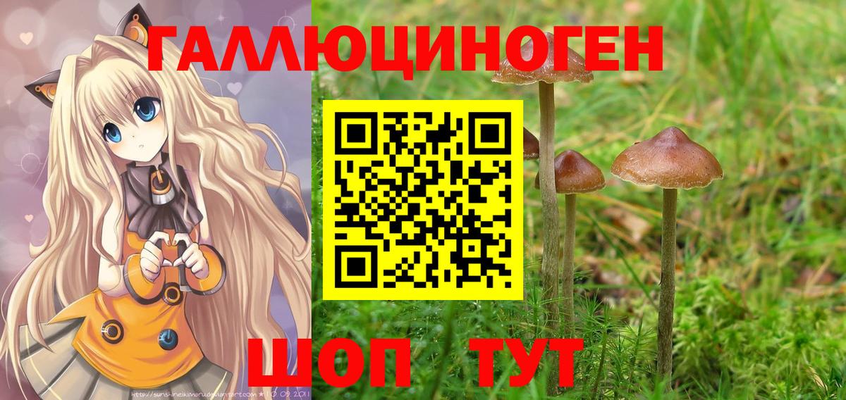 Псилоцибиновые грибы мицелий Прохладный