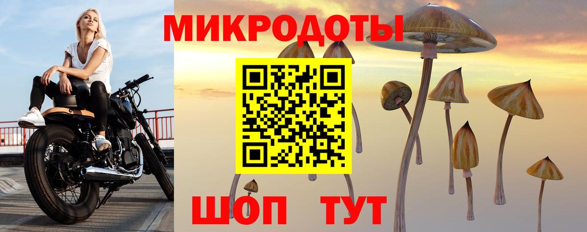 Псилоцибиновые грибы Psilocybine cubensis  Галлюциногенные грибы Psilocybe  Прохладный  Вход с VPN 